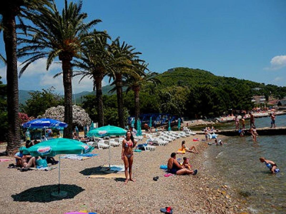 Apartment Jelaca Herceg Novi Buitenkant foto