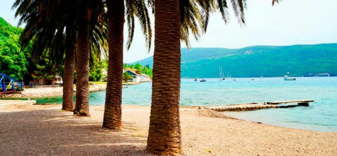 Apartment Jelaca Herceg Novi Buitenkant foto